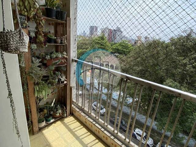 #7ESCDRI010 - Apartamento para Venda em Santos - SP - 3